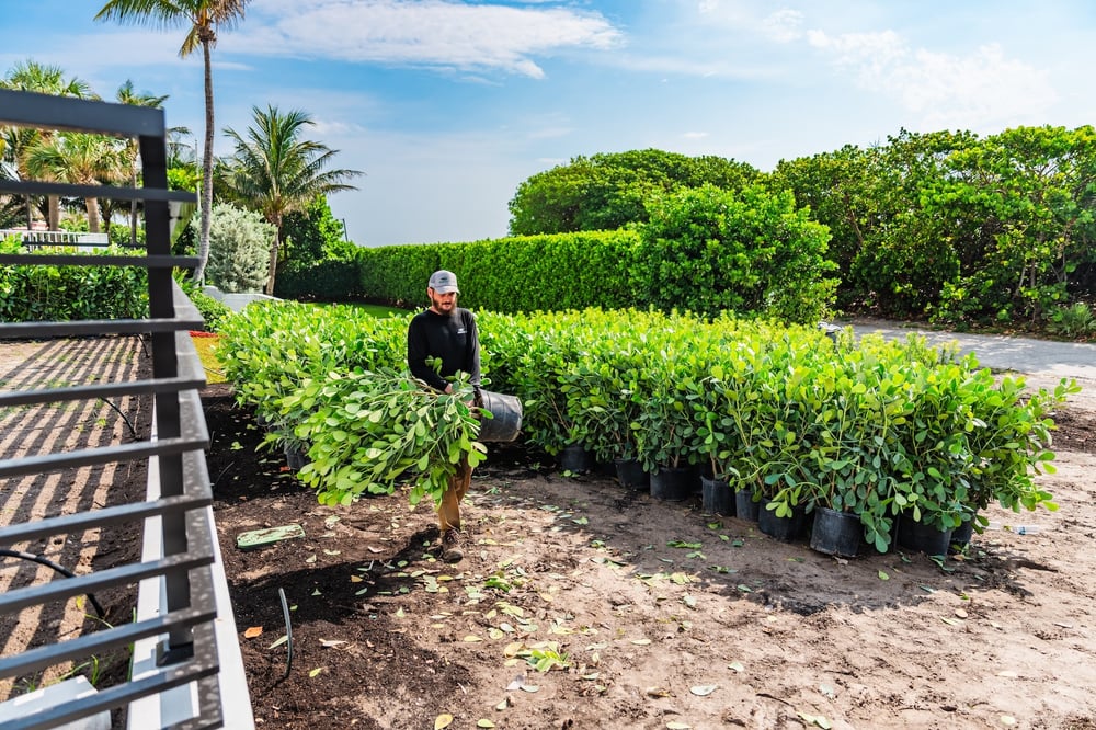 Commercial Landscape Upgrades
