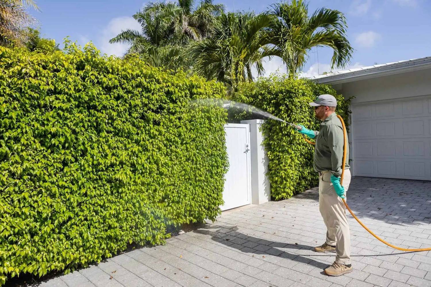 Commercial fertilization and pest control services for HOA in Boynton Beach, FL