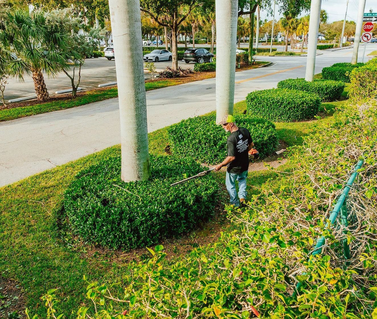 Commercial landscaping crew trimming hedges and maintaining roadside landscape beds in Boca Raton, FL