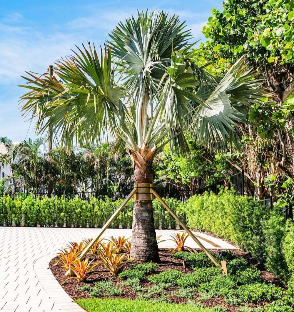 Commercial landscaping enhancements improving curb appeal in Delray Beach, FL-1