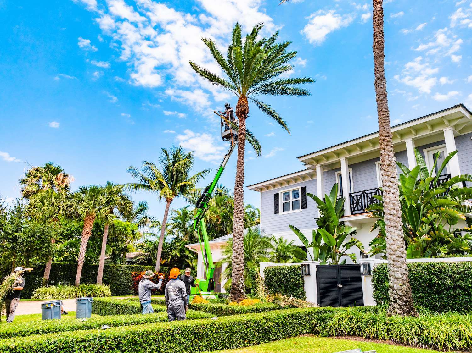 Commercial landscaping pricing consultation in Boynton Beach, FL