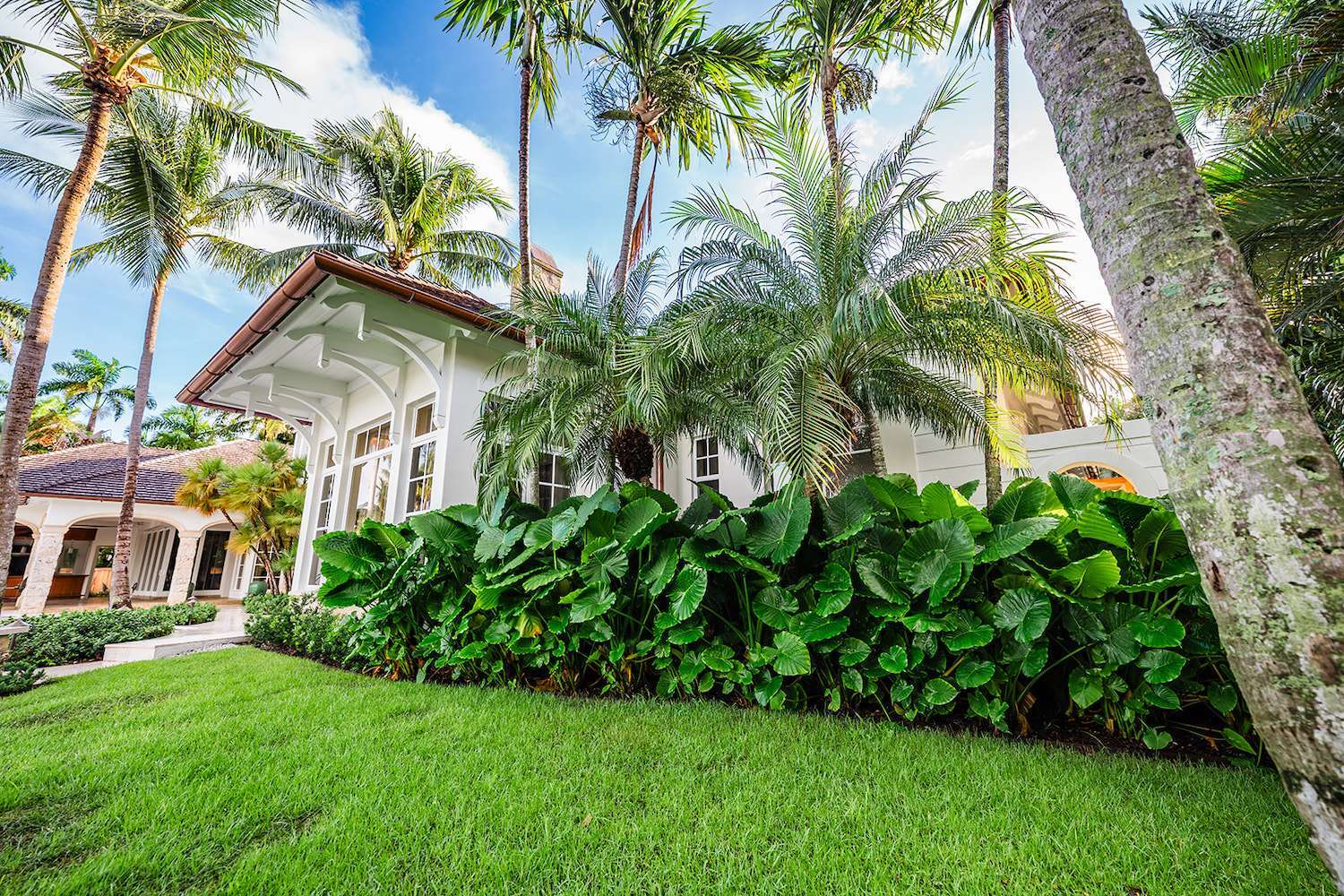 Commercial lawn maintenance pricing review in Boca Raton, FL