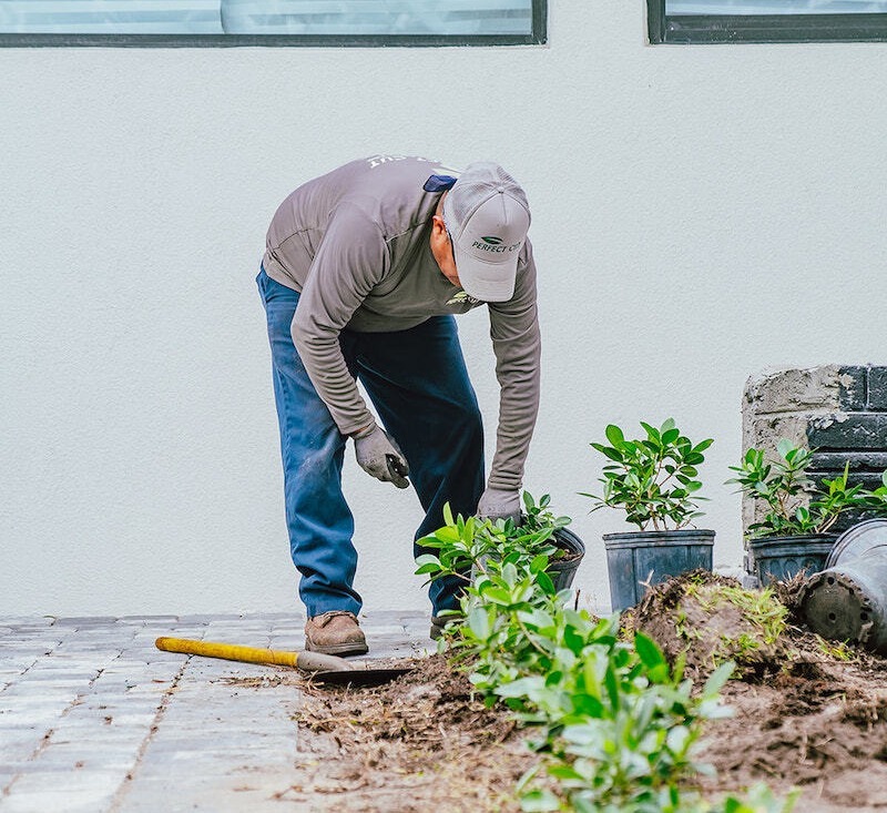 Landscape construction with planting and grading work in Wellington, FL-1