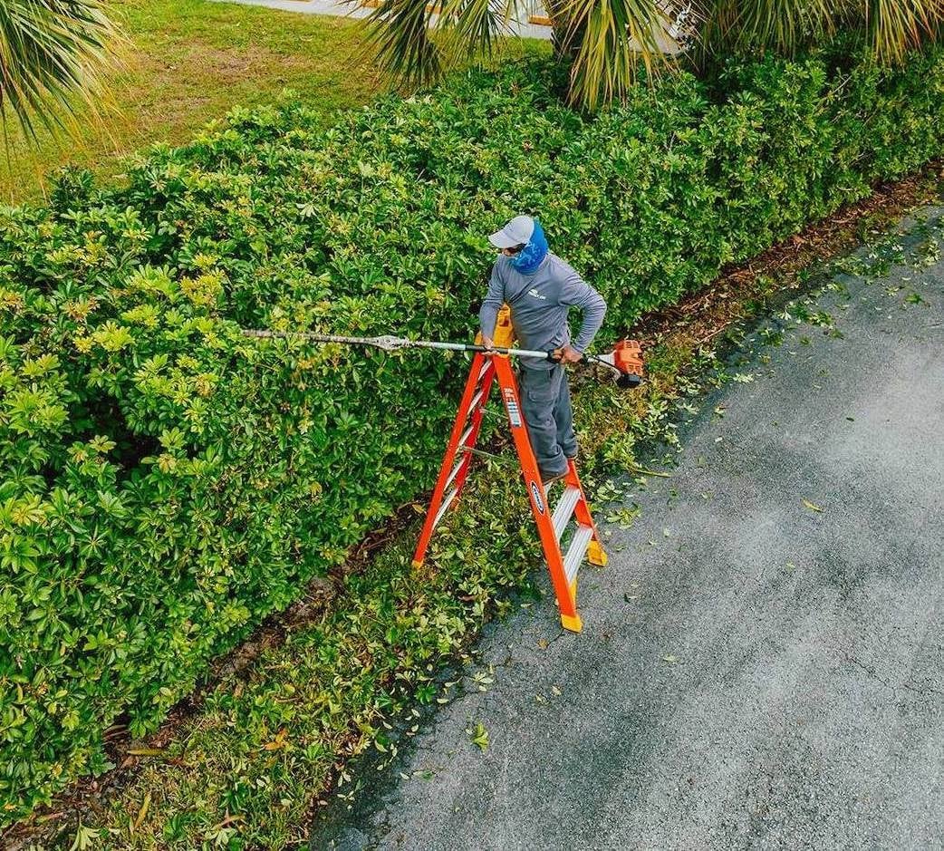 Landscaping crew trimming hedge along residential street in Boynton Beach FL-2