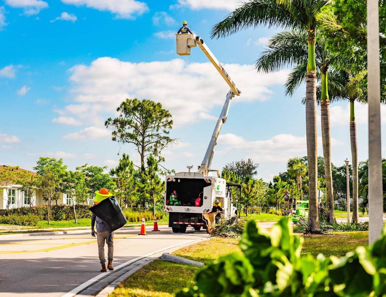 Tree pruning service outside residential building in West Palm Beach FL