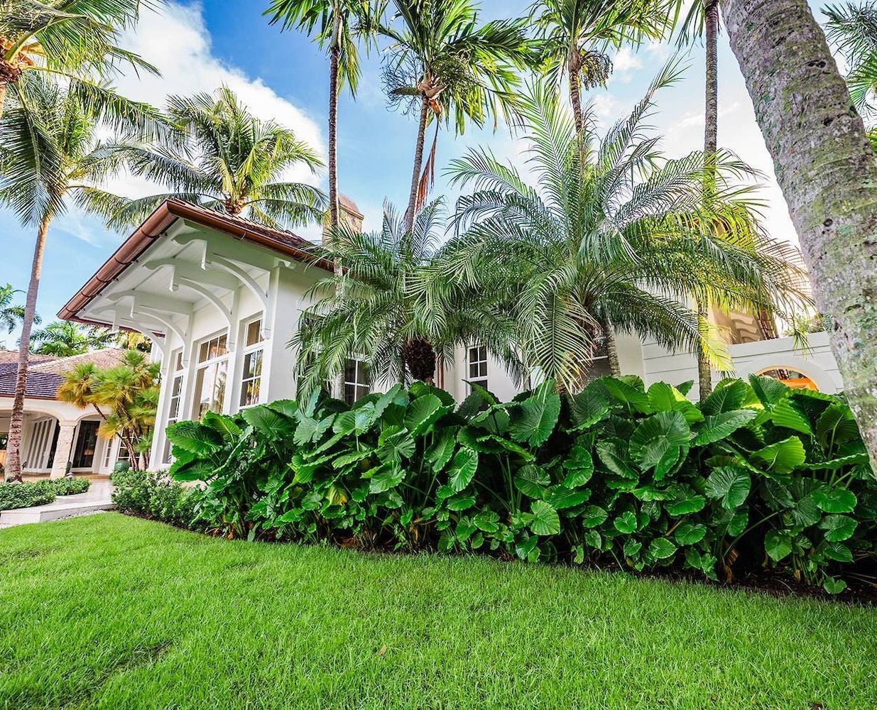 Waterfront estate with palm trees, pool, and professional landscape company work in Manalapan, FL