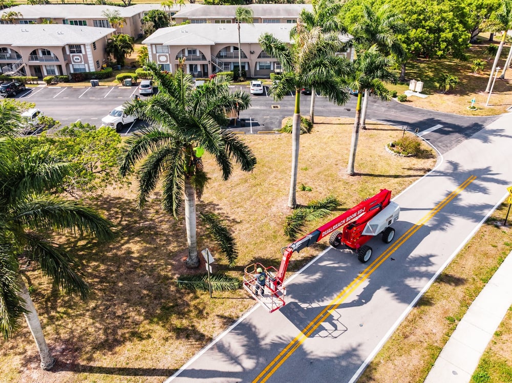 Commercial Tree Company