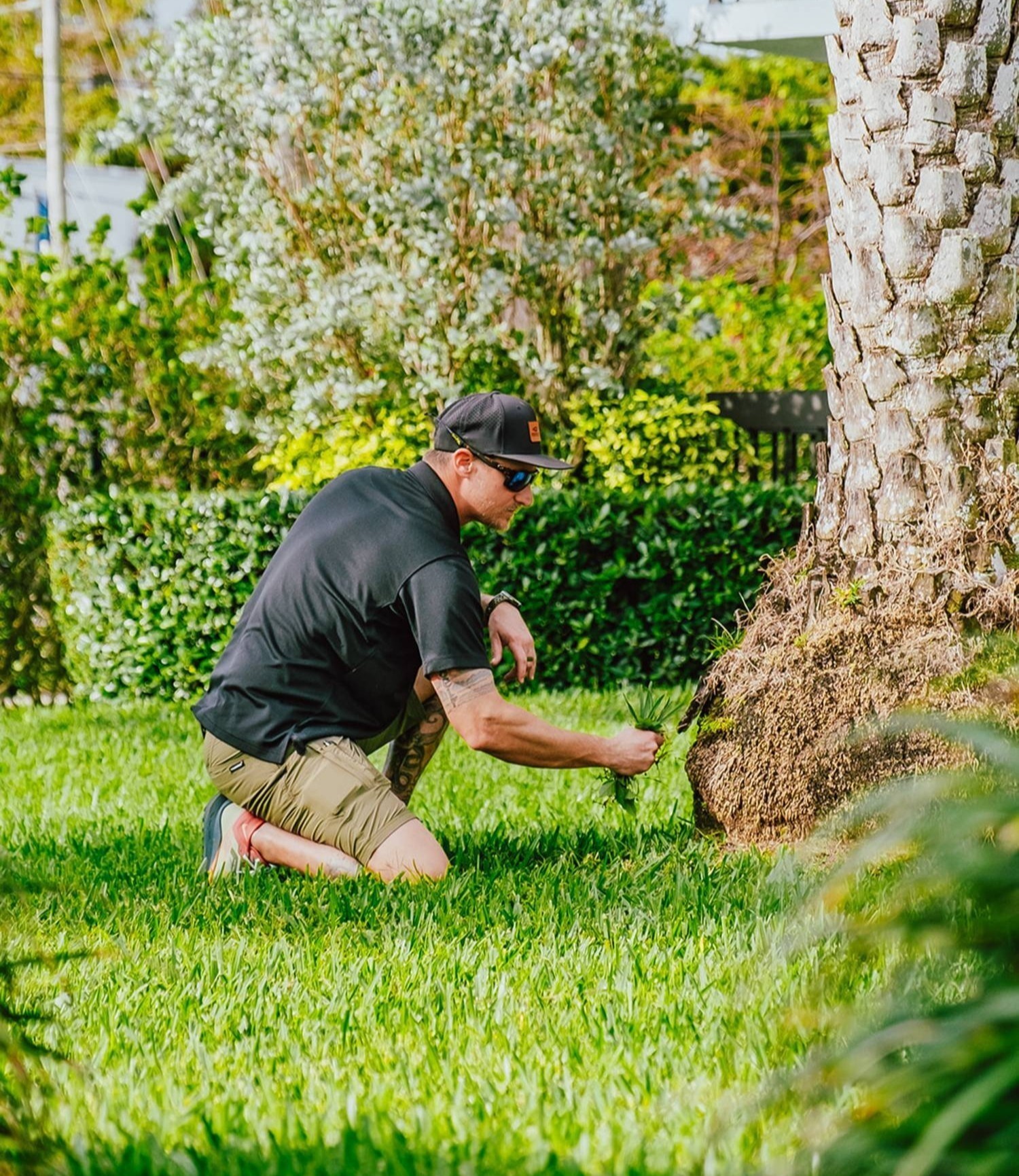 commercial-landscaping-01-2-1-1