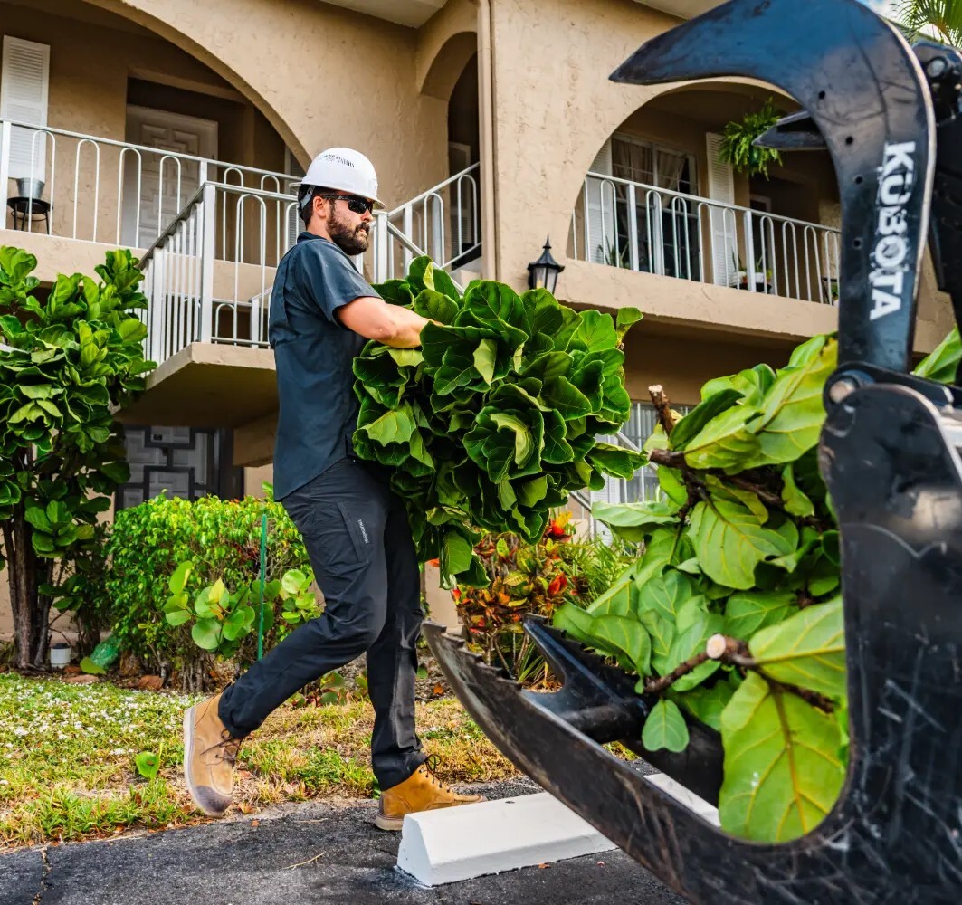 commercial-landscaping-1