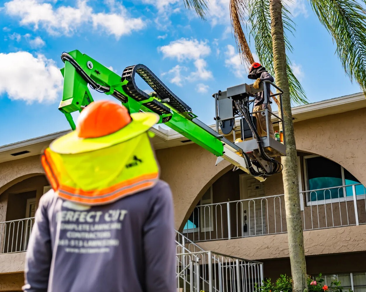 commercial-tree-services-02