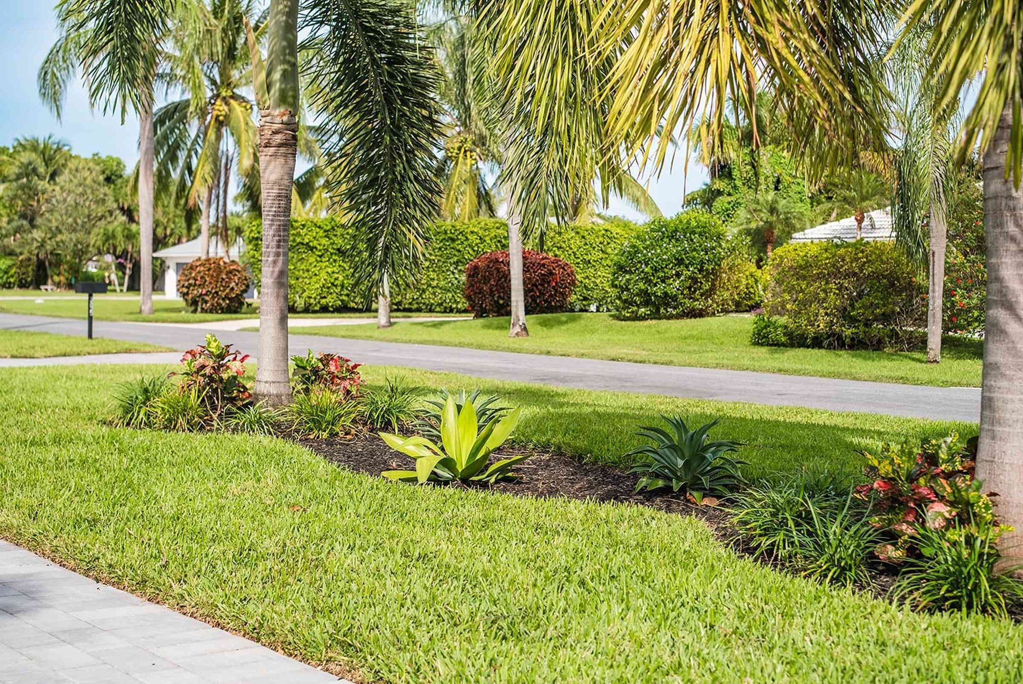 Commercial tree crews handling large-scale properties in West Palm Beach, FL