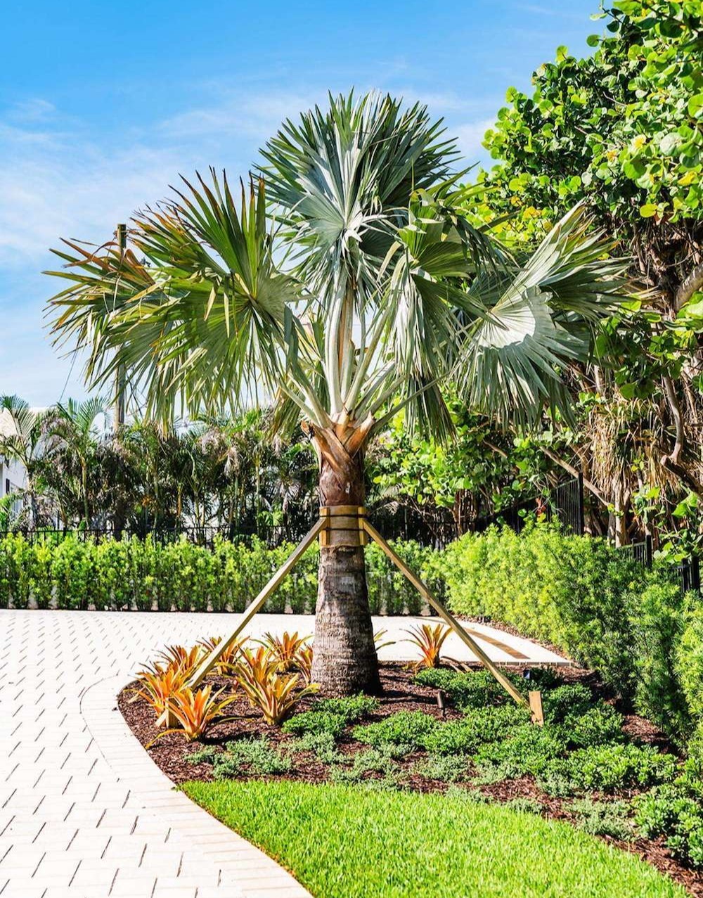Commercial landscaping enhancements improving curb appeal in Delray Beach, FL