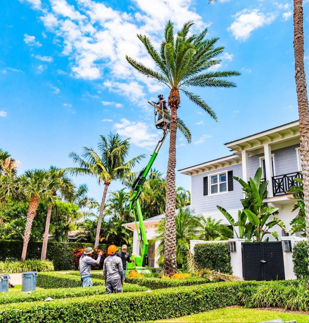 Commercial landscaping pricing consultation in Boynton Beach, FL