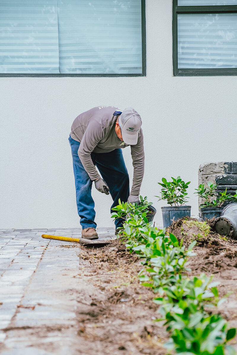 Landscape construction with planting and grading work in Wellington, FL-1
