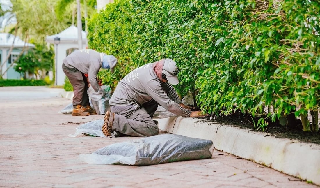 Professional landscape maintenance with plantings in West Palm Beach, FL