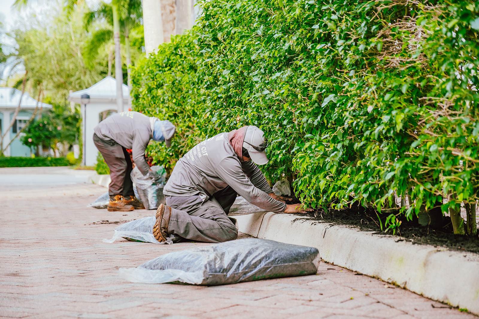 Professional landscape maintenance with plantings in West Palm Beach, FL