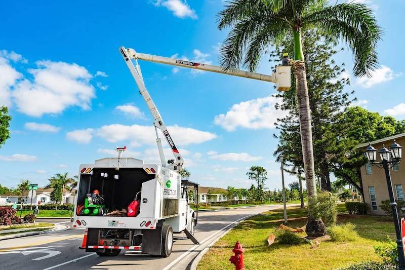 Professional landscape maintenance with tropical plantings in West Palm Beach, FL-1