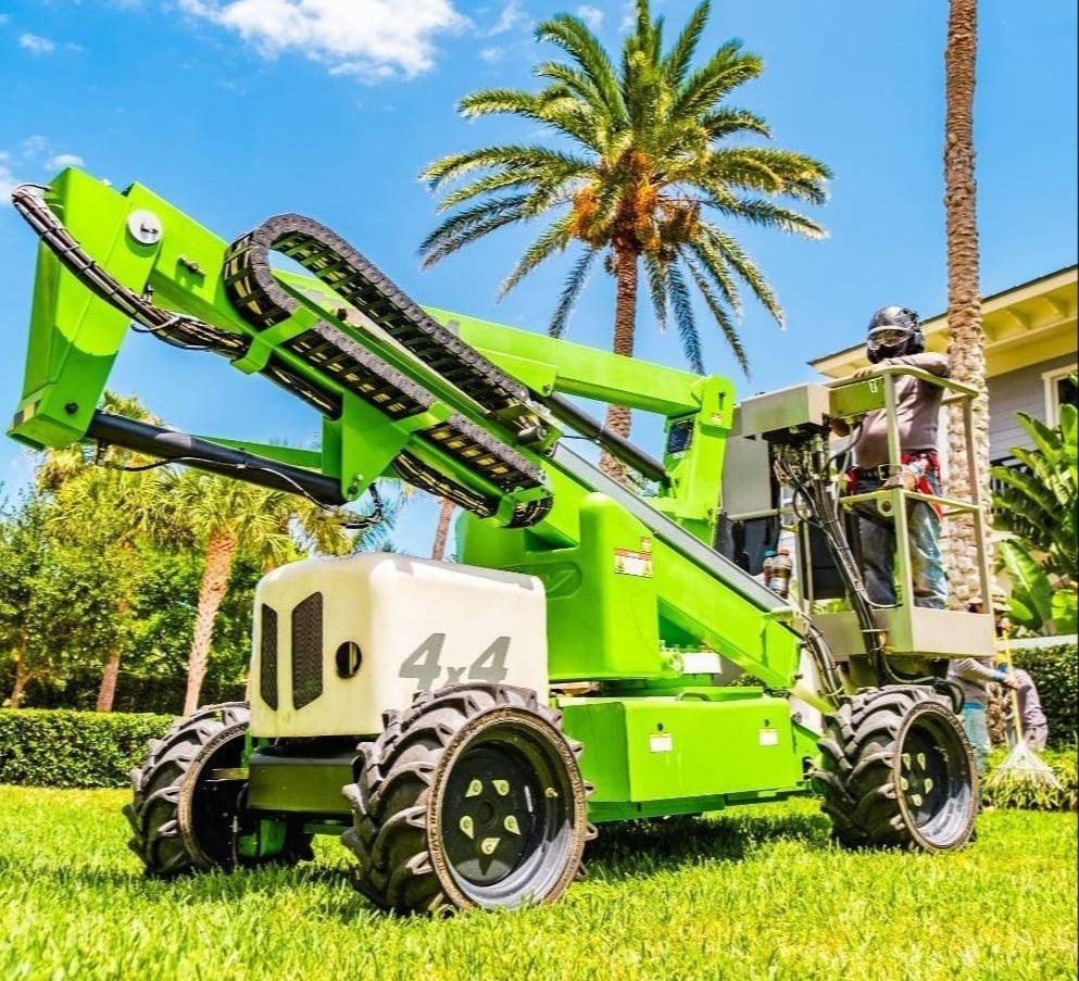 Tree removal and cleanup services at HOA community in Manalapan, FL-1