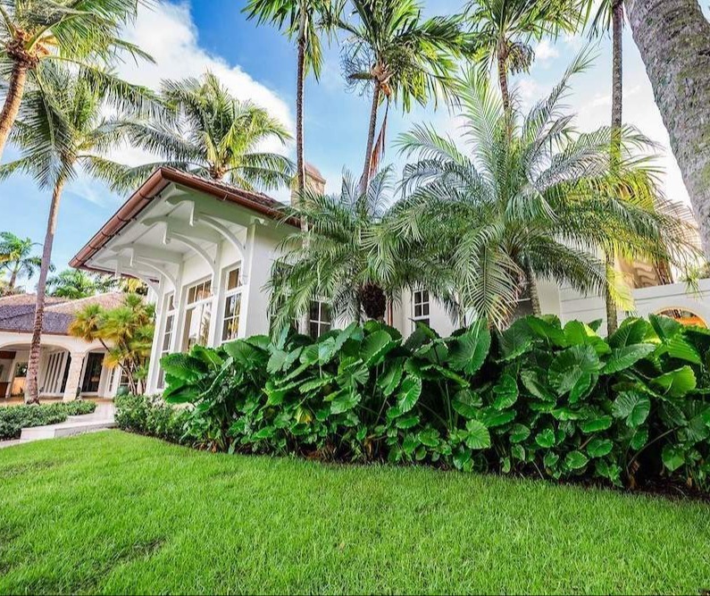 Waterfront estate with palm trees, pool, and professional landscape company work in Manalapan, FL