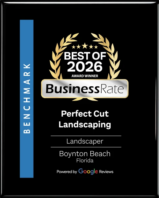 Best of 2026 Award Winner, BusinessRate, powered by Google Reviews
